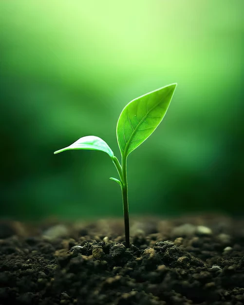 إن دعمكم لهذا المشروع هو زكاة مال تحدث أثرا عميقا وتسهم في إدخال السرور على قلوب الصم وأسرهم وتعينهم على تجاوز التحديات المعيشية